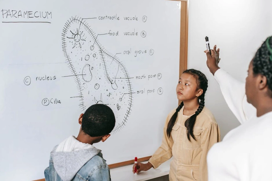 A digital screen showing a project roadmap with timelines and milestones.